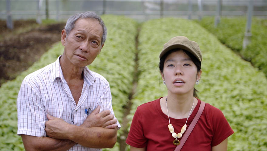 A Day in the Life of an Account Manager