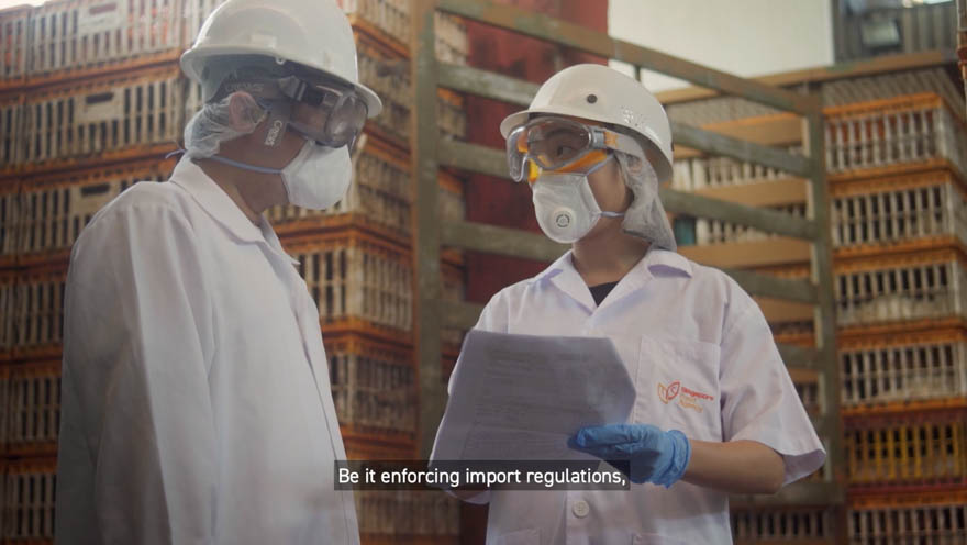 The Singapore Food Story