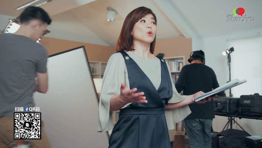 Silver Arts Festival (Chinese)